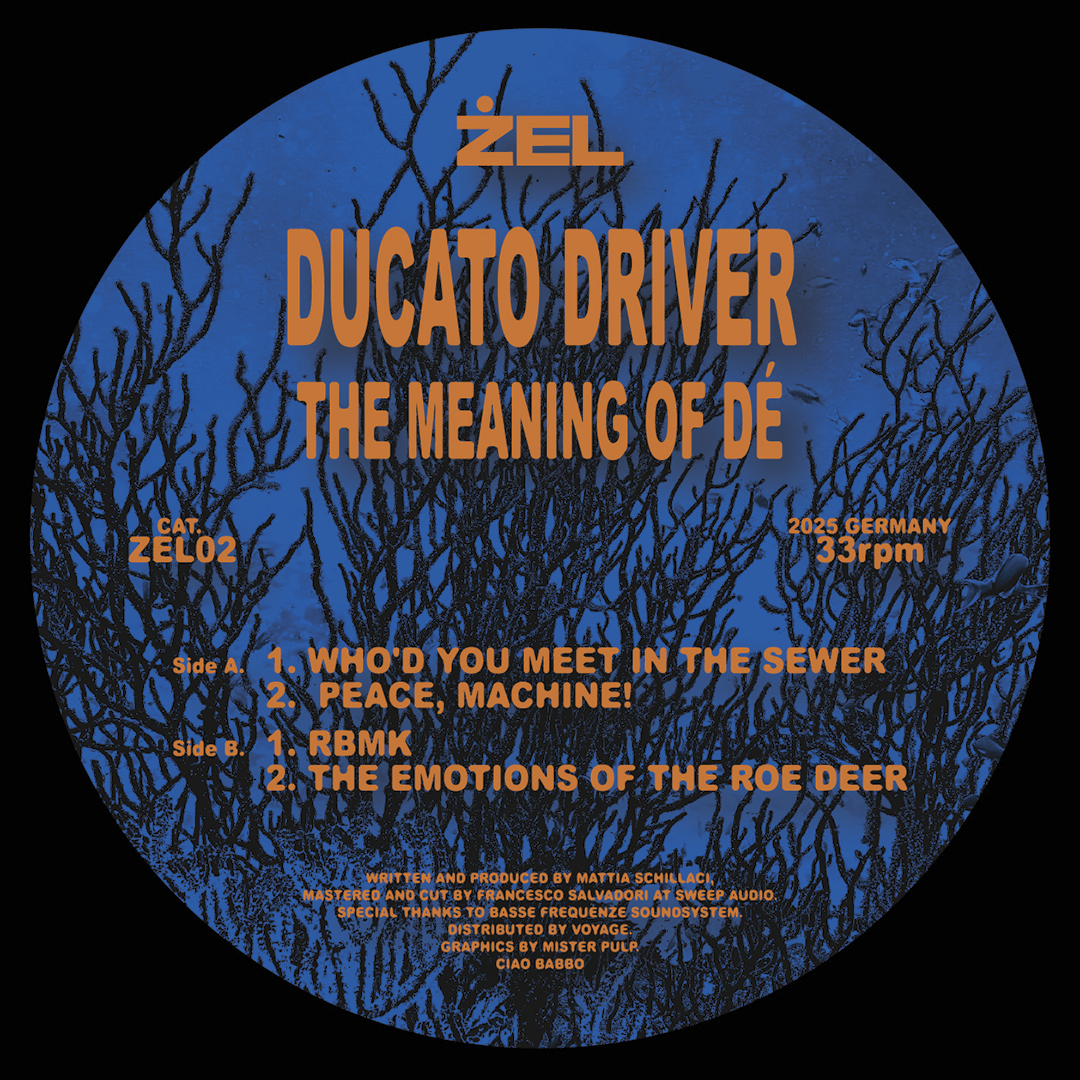 Ducato Driver - The Meaning of Dè